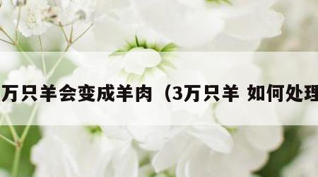 3万只羊会变成羊肉（3万只羊 如何处理）