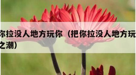 把你拉没人地方玩你（把你拉没人地方玩你 尚之潮）
