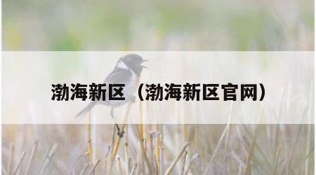 渤海新区（渤海新区官网）