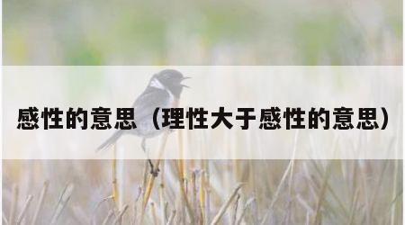 感性的意思（理性大于感性的意思）