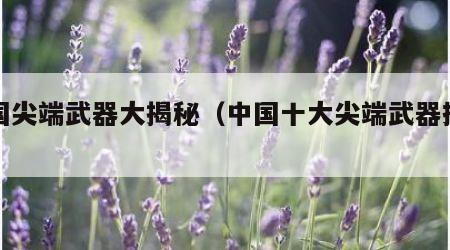 中国尖端武器大揭秘（中国十大尖端武器排行）