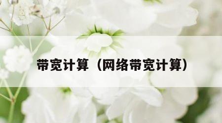 带宽计算（网络带宽计算）