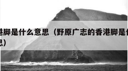 香港脚是什么意思（野原广志的香港脚是什么意思）