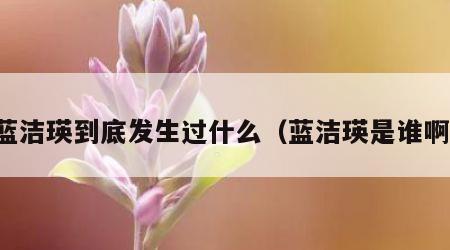 蓝洁瑛到底发生过什么（蓝洁瑛是谁啊）