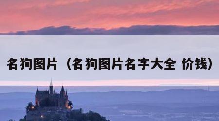 名狗图片（名狗图片名字大全 价钱）