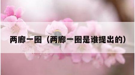 两廊一圈（两廊一圈是谁提出的）