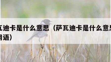 萨瓦迪卡是什么意思（萨瓦迪卡是什么意思网络用语）