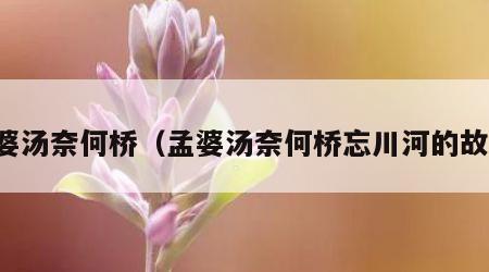 孟婆汤奈何桥（孟婆汤奈何桥忘川河的故事）