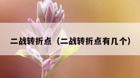 二战转折点（二战转折点有几个）