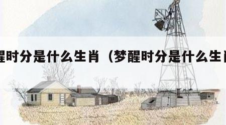 梦醒时分是什么生肖（梦醒时分是什么生肖动物）