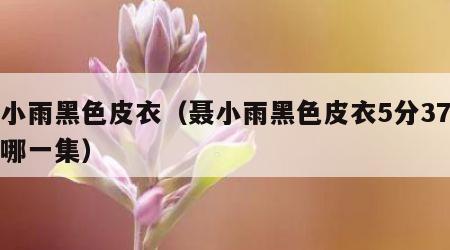 聂小雨黑色皮衣（聂小雨黑色皮衣5分37秒是哪一集）