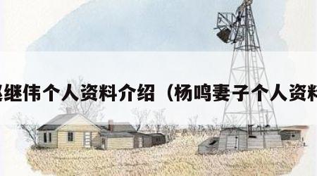 赵继伟个人资料介绍（杨鸣妻子个人资料）