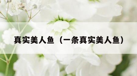 真实美人鱼（一条真实美人鱼）