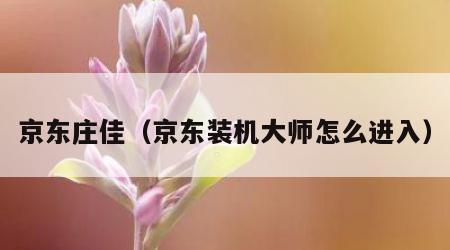京东庄佳（京东装机大师怎么进入）