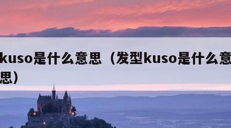 kuso是什么意思（发型kuso是什么意思）