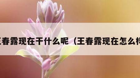 王春露现在干什么呢（王春露现在怎么样）
