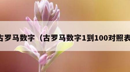 古罗马数字（古罗马数字1到100对照表）