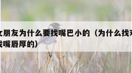 找女朋友为什么要找嘴巴小的（为什么找对象要找嘴唇厚的）