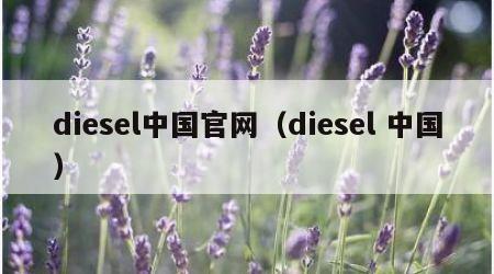 diesel中国官网（diesel 中国）
