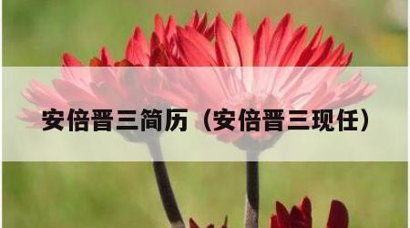 安倍晋三简历（安倍晋三现任）