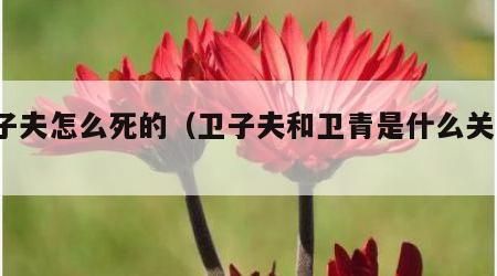 卫子夫怎么死的（卫子夫和卫青是什么关系?）