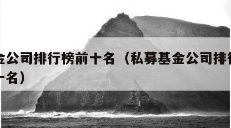 基金公司排行榜前十名（私募基金公司排行榜前十名）