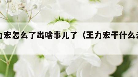 王力宏怎么了出啥事儿了（王力宏干什么去了）