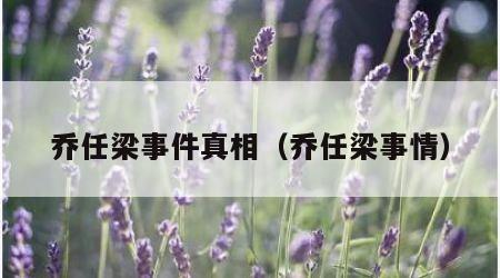 乔任梁事件真相（乔任梁事情）