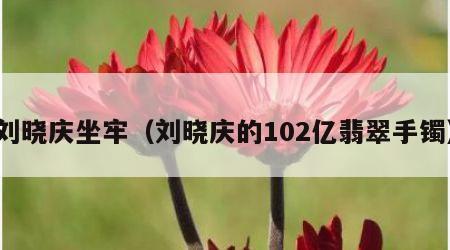 刘晓庆坐牢（刘晓庆的102亿翡翠手镯）