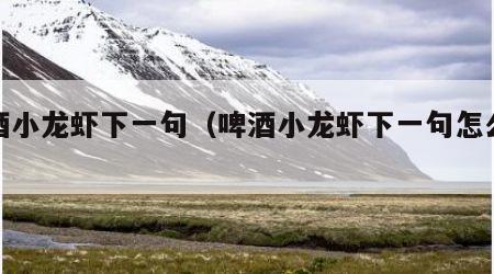 啤酒小龙虾下一句（啤酒小龙虾下一句怎么接?）
