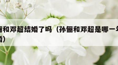 孙俪和邓超结婚了吗（孙俪和邓超是哪一年结的婚）
