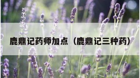 鹿鼎记药师加点（鹿鼎记三种药）