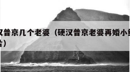 硬汉普京几个老婆（硬汉普京老婆再婚小鲜肉照片）