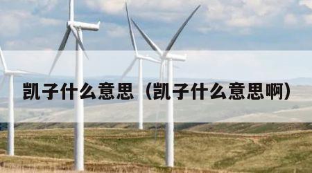 凯子什么意思（凯子什么意思啊）