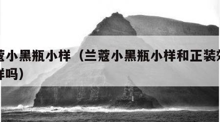 兰蔻小黑瓶小样（兰蔻小黑瓶小样和正装效果一样吗）