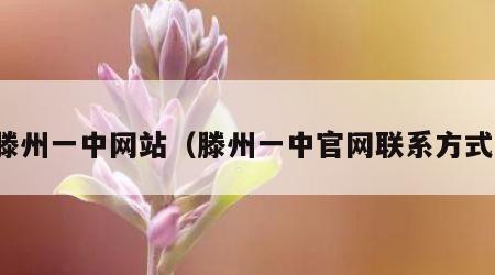 滕州一中网站（滕州一中官网联系方式）