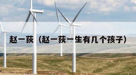 赵一荻（赵一荻一生有几个孩子）