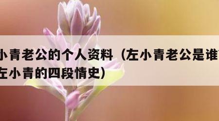 左小青老公的个人资料（左小青老公是谁?揭秘左小青的四段情史）
