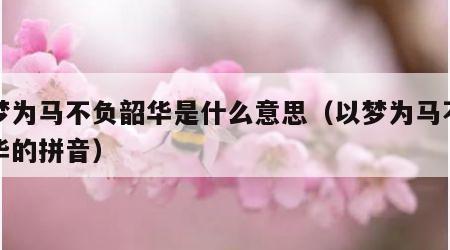 以梦为马不负韶华是什么意思（以梦为马不负韶华的拼音）