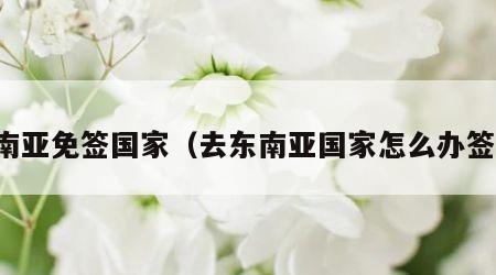 东南亚免签国家（去东南亚国家怎么办签证）