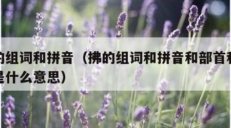 拂的组词和拼音（拂的组词和拼音和部首和结构是什么意思）