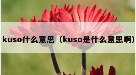 kuso什么意思（kuso是什么意思啊）