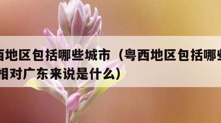 粤西地区包括哪些城市（粤西地区包括哪些城市,相对广东来说是什么）