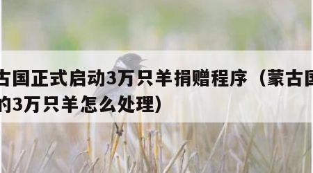 蒙古国正式启动3万只羊捐赠程序（蒙古国捐赠的3万只羊怎么处理）