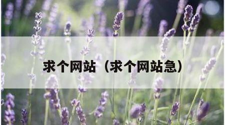 求个网站（求个网站急）