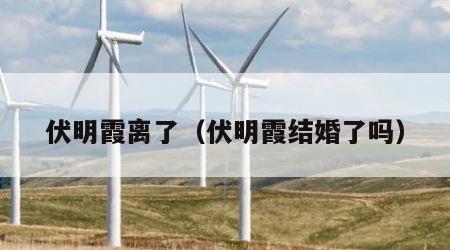 伏明霞离了（伏明霞结婚了吗）