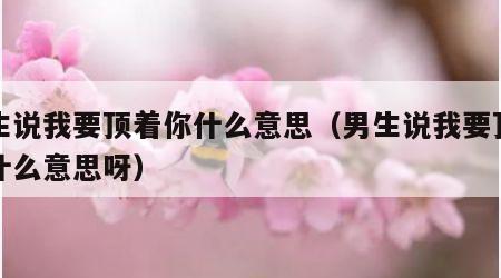 男生说我要顶着你什么意思（男生说我要顶着你什么意思呀）