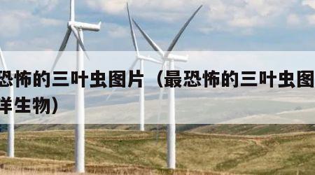 最恐怖的三叶虫图片（最恐怖的三叶虫图片 海洋生物）