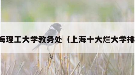 上海理工大学教务处（上海十大烂大学排名）