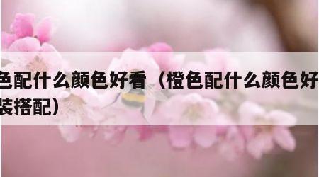 橘色配什么颜色好看（橙色配什么颜色好看 服装搭配）